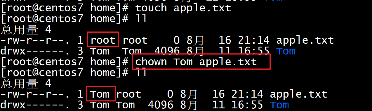 image-20210816211536969